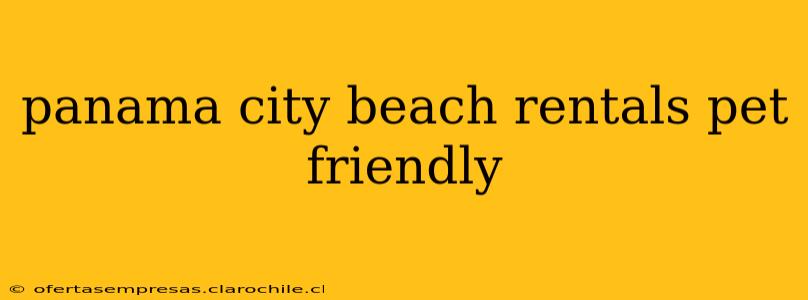 panama city beach rentals pet friendly