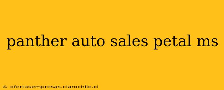 panther auto sales petal ms