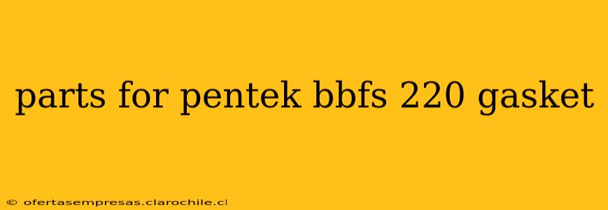 parts for pentek bbfs 220 gasket