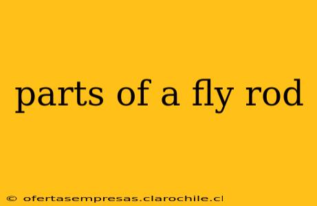 parts of a fly rod