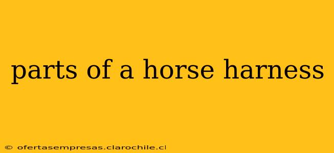 parts of a horse harness
