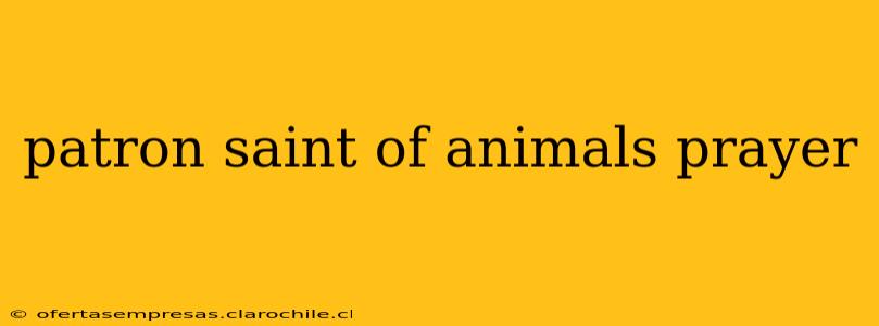 patron saint of animals prayer