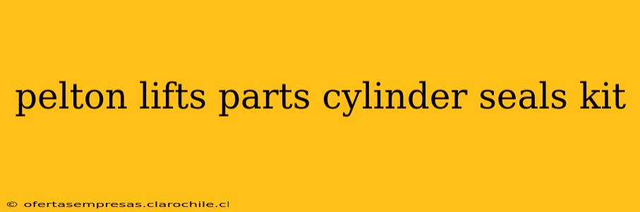 pelton lifts parts cylinder seals kit