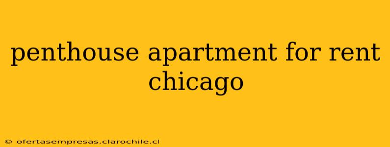 penthouse apartment for rent chicago