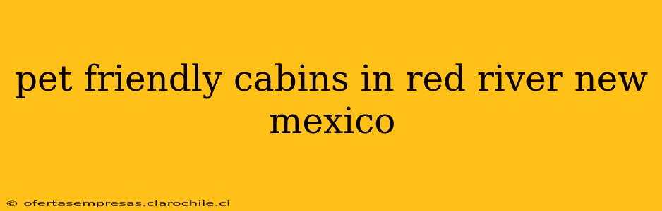 pet friendly cabins in red river new mexico