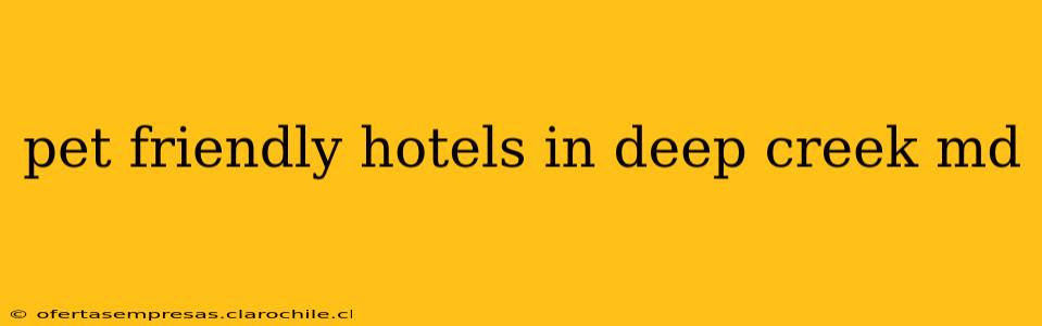 pet friendly hotels in deep creek md