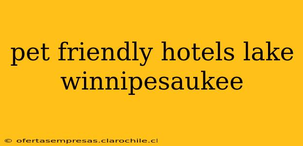 pet friendly hotels lake winnipesaukee