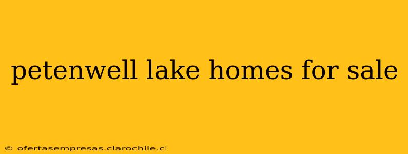petenwell lake homes for sale
