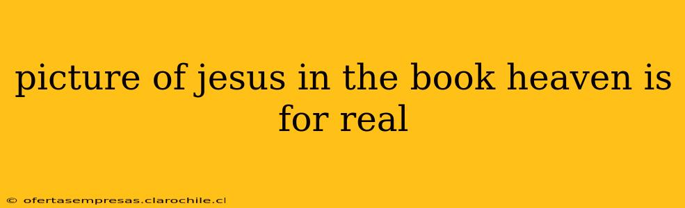 picture of jesus in the book heaven is for real