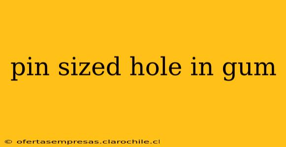pin sized hole in gum