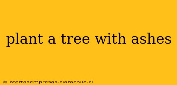 plant a tree with ashes