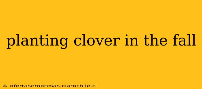 planting clover in the fall