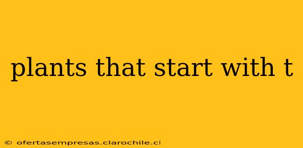 plants that start with t
