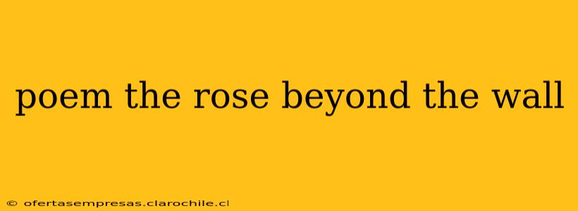 poem the rose beyond the wall