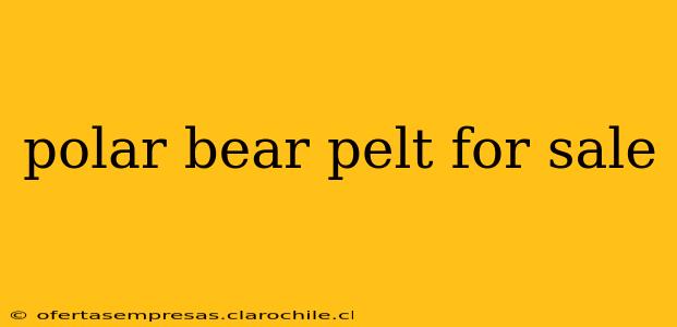 polar bear pelt for sale