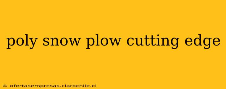 poly snow plow cutting edge