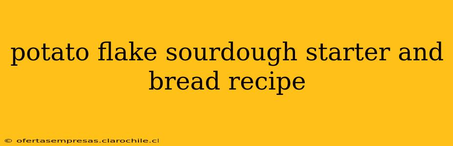 potato flake sourdough starter and bread recipe