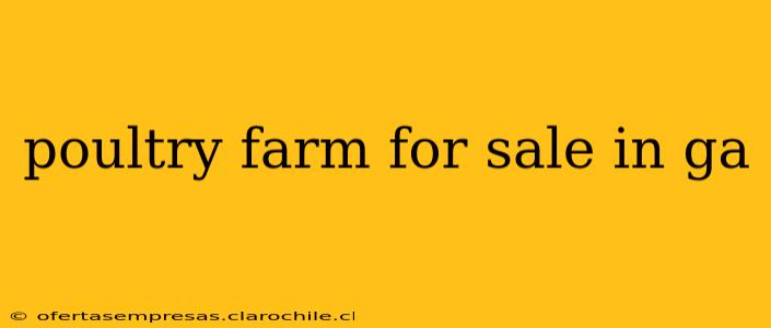 poultry farm for sale in ga