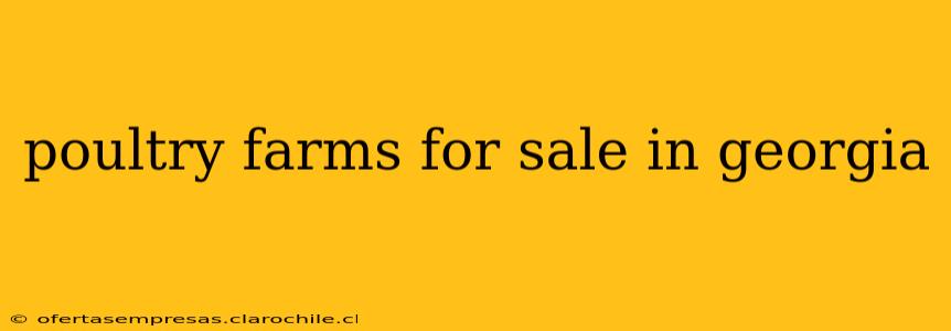 poultry farms for sale in georgia