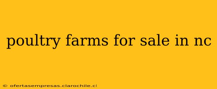poultry farms for sale in nc