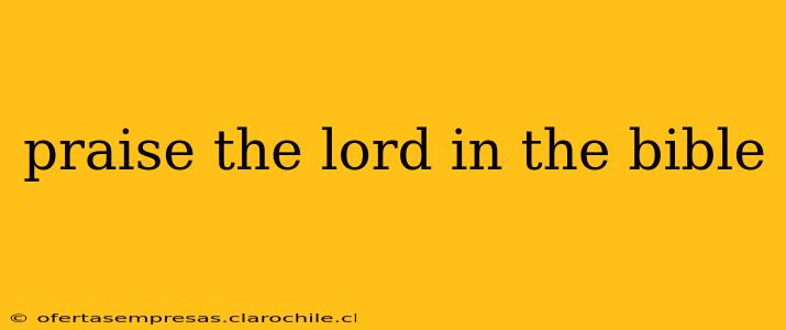 praise the lord in the bible