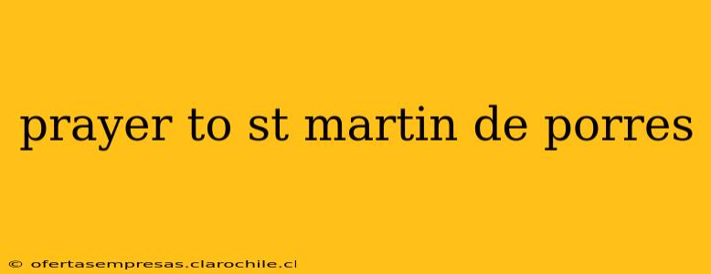 prayer to st martin de porres