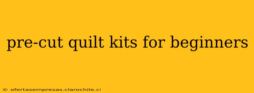 pre-cut quilt kits for beginners