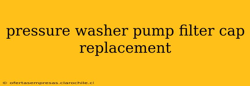 pressure washer pump filter cap replacement