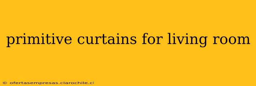 primitive curtains for living room