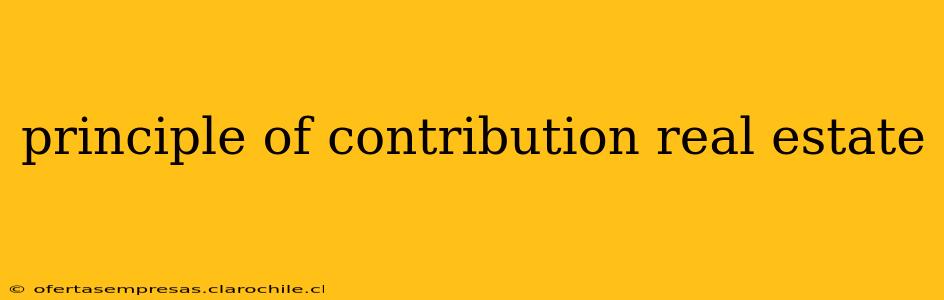 principle of contribution real estate
