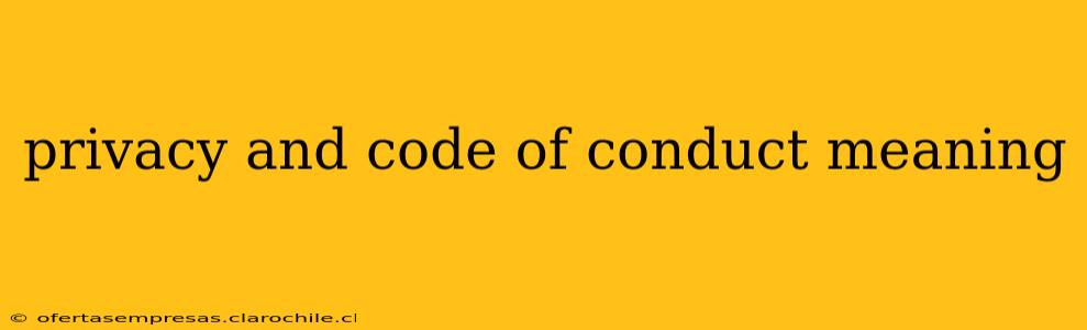 privacy and code of conduct meaning