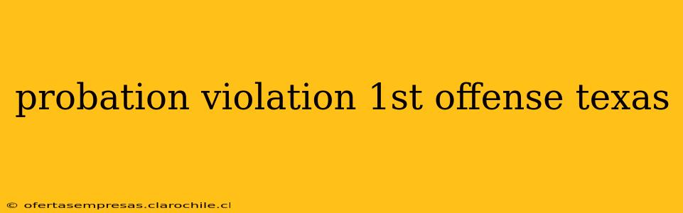 probation violation 1st offense texas