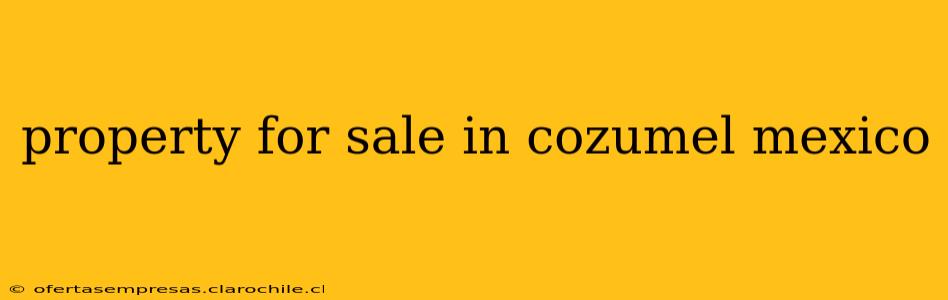 property for sale in cozumel mexico