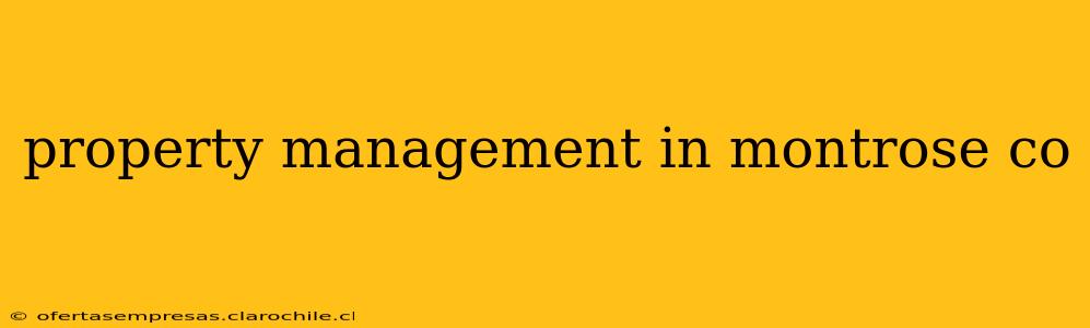 property management in montrose co