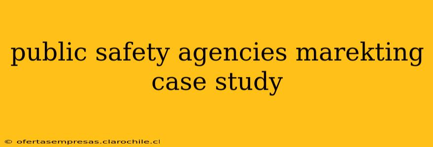 public safety agencies marekting case study