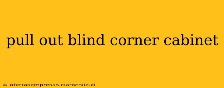 pull out blind corner cabinet