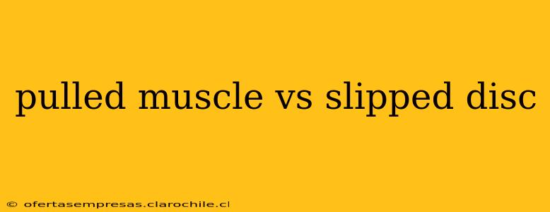 pulled muscle vs slipped disc