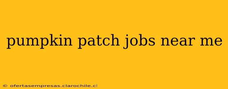 pumpkin patch jobs near me