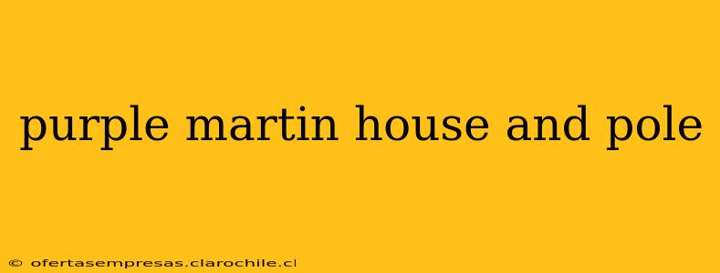 purple martin house and pole