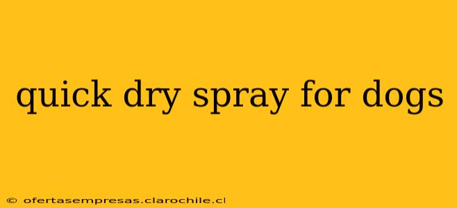 quick dry spray for dogs