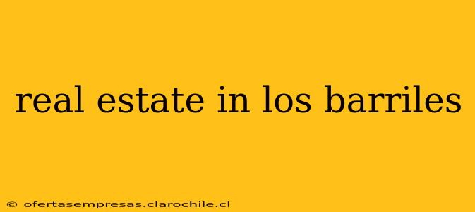 real estate in los barriles