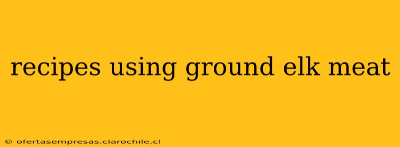 recipes using ground elk meat