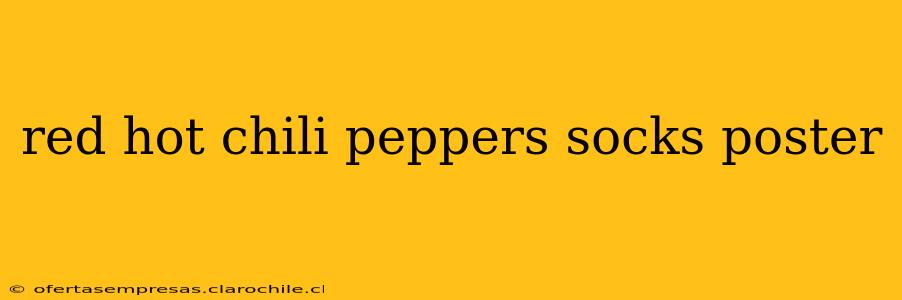 red hot chili peppers socks poster