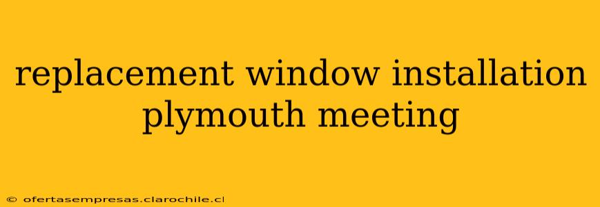 replacement window installation plymouth meeting