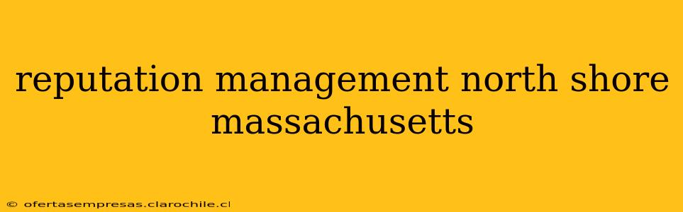 reputation management north shore massachusetts