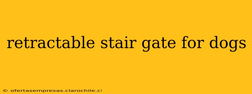 retractable stair gate for dogs