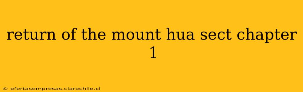 return of the mount hua sect chapter 1