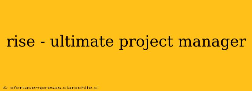 rise - ultimate project manager