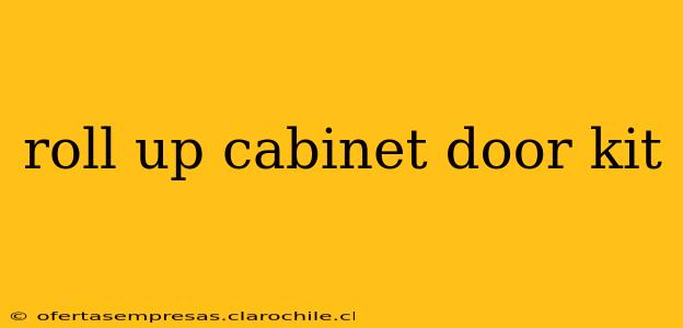 roll up cabinet door kit