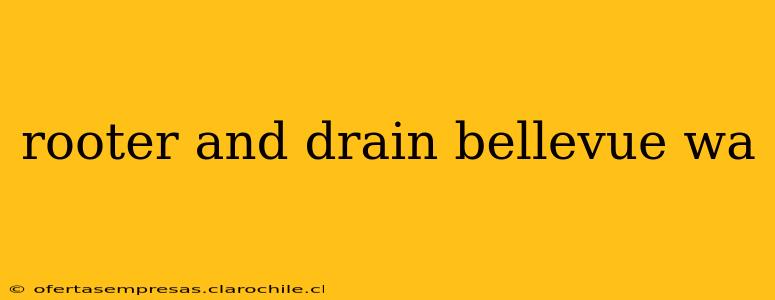 rooter and drain bellevue wa
